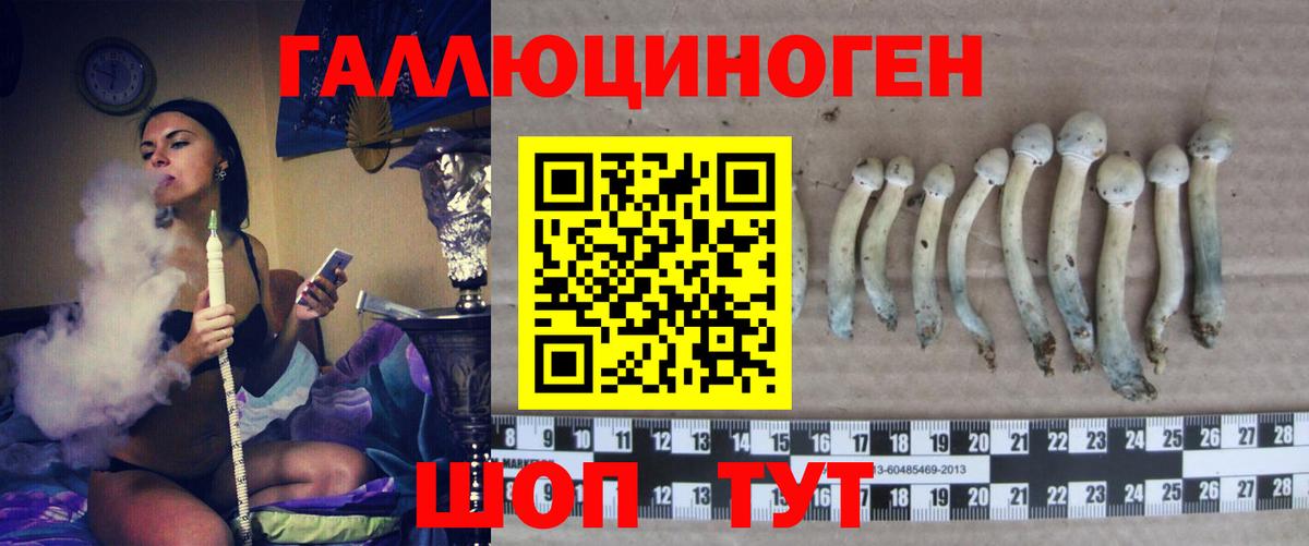 Псилоцибиновые грибы ЛСД Долгопрудный